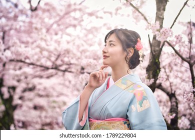 着物 京都 桜 の写真素材 画像 写真 Shutterstock