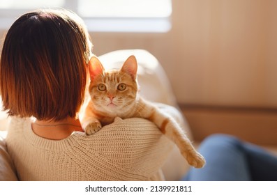 Young Asian Woman Wears Warm Sweater Resting With Tabby Cat On Sofa At Home One Autumn Day. Indoor Shot Of Amazing Lady Holding Ginger Pet. Morning Sleep Time At Home. Soft Focus.