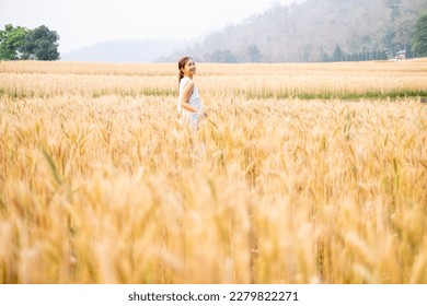 Young Asian women  in white dresses walking in the Barley rice field season golden color of the wheat plant at Chiang Mai Thailand - Shutterstock ID 2279822271