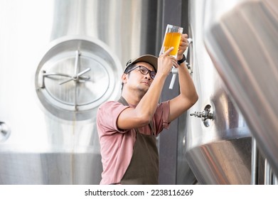 Young Asian worker inspecting brewery quality with a glass of craft beer evaluating visual appearance after preparation while working in a processing craft brewery. - Powered by Shutterstock