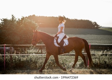 Young Athlete Ridinghorse In Sunset. Horse Riding Training In Nature. Active Recreation. Sports And Health. The Right Way Of Life. Role Model. 