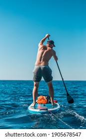 Young athletic man paddling on a SUP stand up paddle board in blue water sea in Montenegro