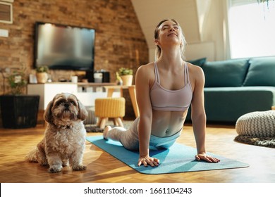 Young Athletic Woman In Cobra Pose Practicing Yoga With Her Dog At Home. 