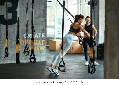 Young athletic woman in sportswear exercising with trx fitness straps with personal trainer at gym, doing push ups - Powered by Shutterstock