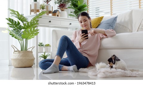 Young attractive beautiful asian lady wear earphone happy listen digital podcast online channel for reskill upskill mindfulness break at home in quarantine social distance self isolate on sofa couch.