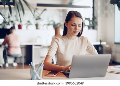 Young attractive businesswoman working on laptop in office