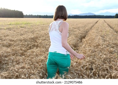 Young attractive female, girl, in the ripe barley field.