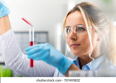 Young attractive female scientist in protective glasses and gloves dropping a red liquid substance into the test tube with a long glass pipette in the scientific chemical laboratory