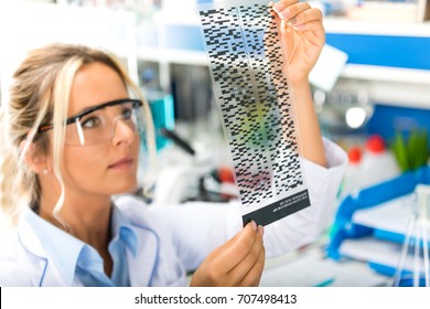 Young Attractive Female Scientist With Protective Eyeglasses Examining DNA Autoradiogram Test Results In The Scientific Biochemical Laboratory