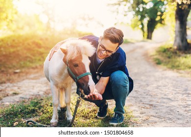 Young attractive male veterinarian examining and feeding adorable little pony horse. - Powered by Shutterstock