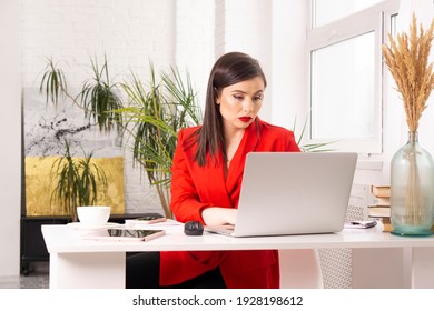 Young   attractive mature businesswoman working on laptop    in office  - Shutterstock ID 1928198612