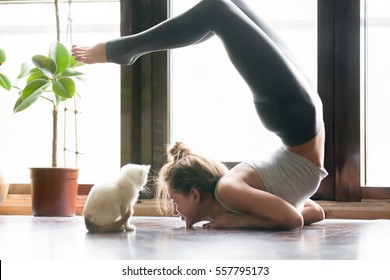 Young attractive smiling woman practicing yoga, stretching in Scorpion exercise, variation of vrischikasana pose, working out, wearing sportswear, grey pants, bra, indoor full length, home interior