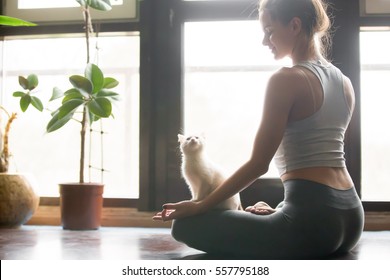 Young attractive smiling woman practicing yoga, sitting in Half Lotus exercise, Ardha Padmasana pose, working out, wearing sportswear, grey pants, bra, indoor, home interior background, cat near her - Powered by Shutterstock