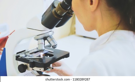Young attractive veterinary worker in gloves using microscope for testing blood samples of animals. Vet doctor looking into microscope, close-up.
