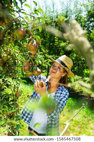 Similar – Image, Stock Photo Woman picking apples with basket in her hands