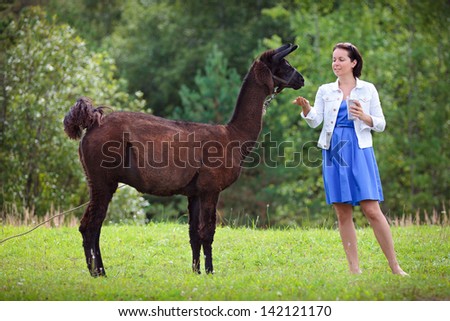 Young attractive woman feeding a brown lama