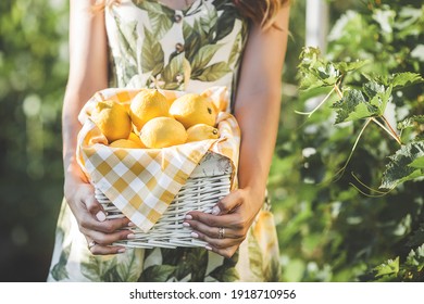 Young Attractive Woman With Lemons. Female Outdoors With Citrus.