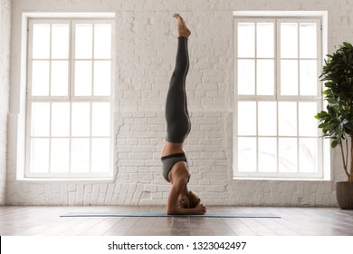 Young attractive woman practicing yoga, standing in headstand pose, salamba sirsasana exercise, beautiful girl in grey sportswear, leggings and bra working out at home or in yoga studio - Powered by Shutterstock