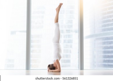 Young attractive woman practicing yoga, standing in salamba sirsasana exercise, headstand pose, working out, wearing sportswear, white t-shirt, pants, full length, near floor window, horizontal   - Powered by Shutterstock