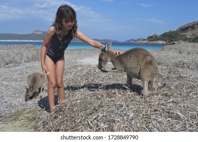 Young Australian Girl Patting Kangaroos In Lucky Bay In Cape Le Grand National Park Near Esperance, Western Australia. Real People. Copy Space