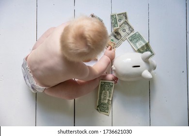 Young Baby Sitting On The Floor Putting Money Into A Piggy Bank Money Box