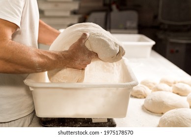 young baker in bakery shop sprinkling flour with strainer on fresh bread dough in front of oven. concept of traditional manual bread preparation in bread factory - Powered by Shutterstock