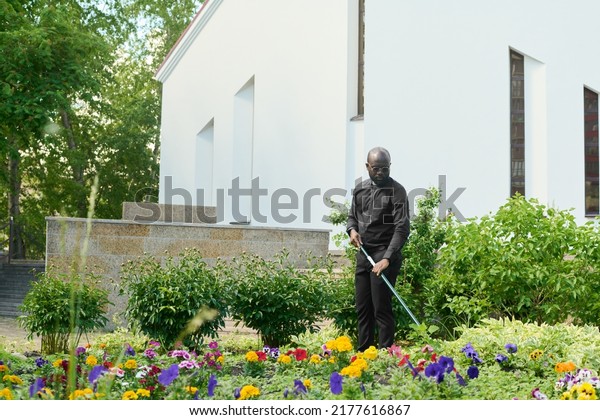 Young bald black man in trousers and shirt with\
clerical collar using rake while taking care of flowers and other\
plants in church garden