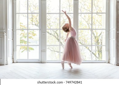 Young ballet dancer in dance class. Ballerina girl in a pink ballet skirt. Beautiful graceful ballerine practice ballet positions in tutu skirt near large window in white light hall - Shutterstock ID 749742841