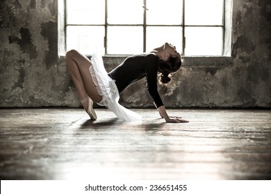 Young Ballet Dancer - Harmonious Pretty Woman With Tutu Posing In Studio - Contemporary Dance Performer