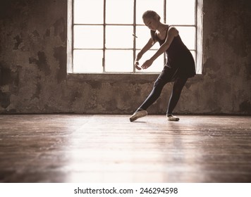 Young Ballet Dancer - Harmonious Pretty Woman With Tutu Posing In Studio - Contemporary Dance Performer