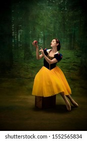 Snow White Fairy Tale Images Stock Photos Vectors Shutterstock