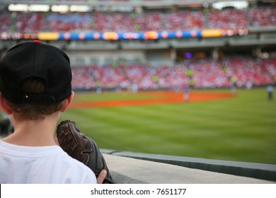 Young baseball fan watches the major league baseball game