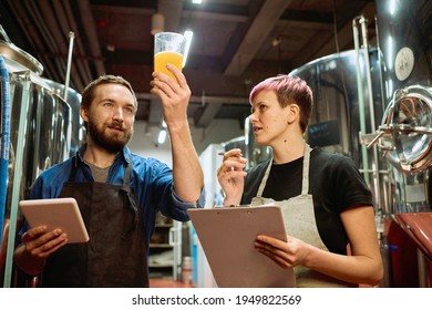 Young bearded brewer in apron looking at beer in glass while standing next to his female colleague with document during teamwork - Powered by Shutterstock