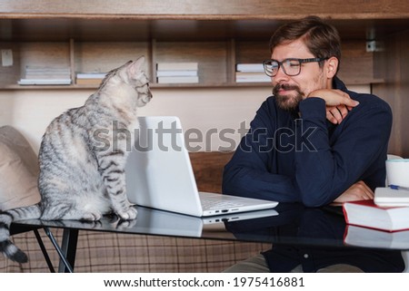 Similar – Home-Office mit Katze