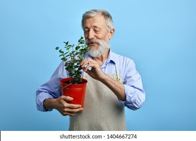 Young bearded man, dressed in blue shirt and gray apron taking care of flowers. close up portrait. isolated blue background. old man touching leaves of house flower. man looking for dry leaves - Powered by Shutterstock