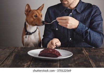 Young Bearded Man Shares Small Piece Of Big Raw Luxiry Whale Meat Steak On Vintage Fork With His Beautiful African Dog. Dog Smells Meat.