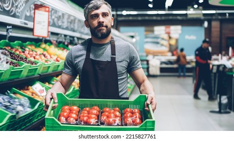 Young Bearded Salesman In Apron Carrying Box Of Tomatoes In Supermarket In Fruit And Vegetables Department. Salesperson, Food Store And Prosefession Concept.