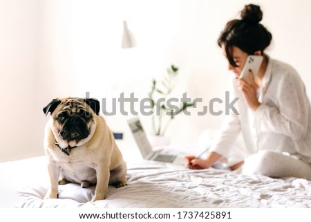 Young beatiful girl is talking by phone and writes a note and near her is lying a dog. Home office. Concept of working and studying at isolation.