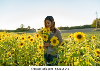 Young Beautiful Asian Woman Smelling Flowers In Scenic Sunflower Garden Farm