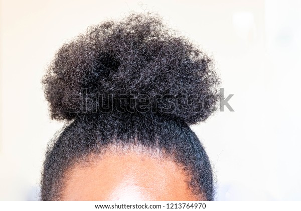 Young Beautiful Black Girl Natural Afro People Beauty Fashion