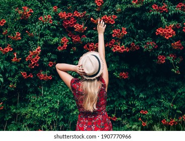 Young Beautiful Blonde Long Haired Woman In Red Dress And Straw Hat Standing Backwards With Raised Hands Over Green Natural Background Outdoor. Freedom Happiness Concept. Space For Text.