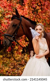  A young beautiful bride in a white dress stands near a horse in the autumn forest