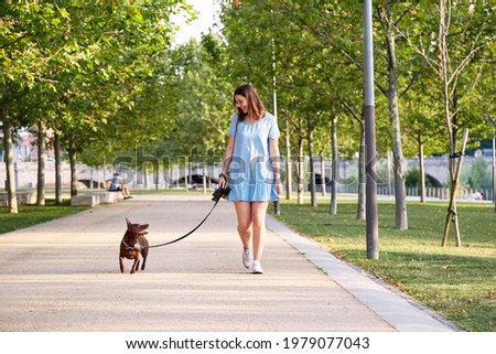 Young beautiful young brunette cheerful girl in blue dress walks with her dog in a city park. Dog breed Pharaoh on leash with owner on walk. High quality photo
