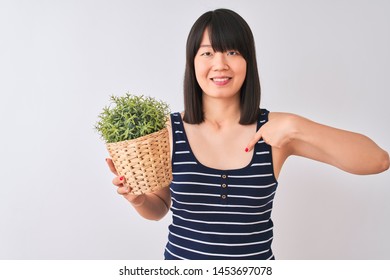 Young Beautiful Chinese Woman Holding Plant Pot Standing Over Isolated White Background With Surprise Face Pointing Finger To Himself