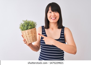 Young Beautiful Chinese Woman Holding Plant Pot Standing Over Isolated White Background Very Happy Pointing With Hand And Finger