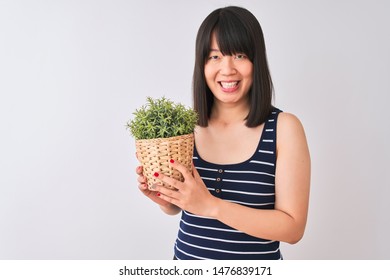 Young Beautiful Chinese Woman Holding Plant Pot Standing Over Isolated White Background With A Happy Face Standing And Smiling With A Confident Smile Showing Teeth