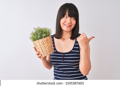 Young Beautiful Chinese Woman Holding Plant Pot Standing Over Isolated White Background Pointing And Showing With Thumb Up To The Side With Happy Face Smiling