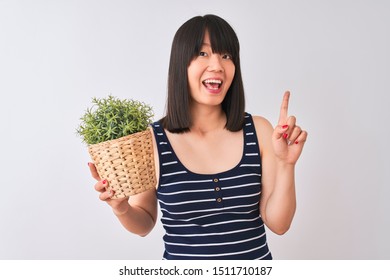 Young Beautiful Chinese Woman Holding Plant Pot Standing Over Isolated White Background Surprised With An Idea Or Question Pointing Finger With Happy Face, Number One