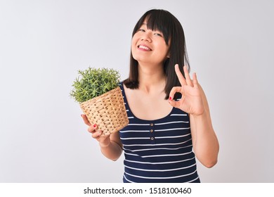 Young Beautiful Chinese Woman Holding Plant Pot Standing Over Isolated White Background Doing Ok Sign With Fingers, Excellent Symbol