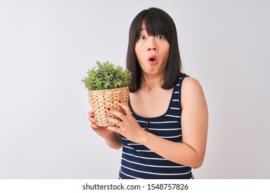 Young Beautiful Chinese Woman Holding Plant Pot Standing Over Isolated White Background Scared In Shock With A Surprise Face, Afraid And Excited With Fear Expression